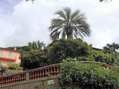 183 D36 LE LAVANDOU_000053